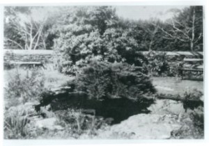 photo of pond in 1930s courtesy estate of Hector Hood
