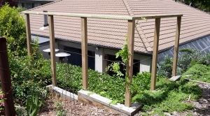 Newly constructed wisteria trellis in rear Gazebo garden