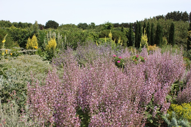 A Lambley garden view