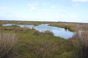 Warragine wetland pool