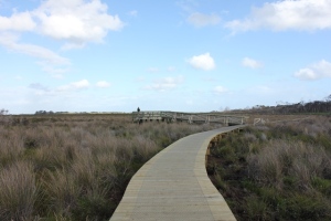 Warragine wetland viewing platform